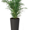 Flower pot FINESA ELEGANCE ROUND 30X57cm bela - Image 4